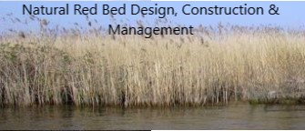 reed-bed-filtration-system-image